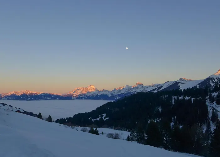 Edelweiss By Interhome * Champoussin